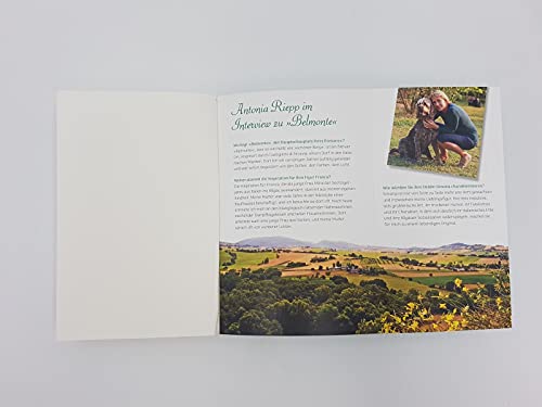 Belmonte (Die Belmonte-Reihe 1): Eine deutsch-italienische Familiensaga