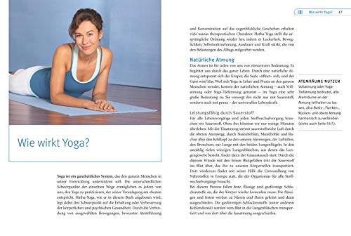 Yoga für Einsteiger (GU Ratgeber Gesundheit)