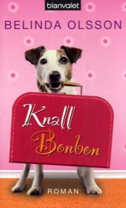 Knallbonbon: Roman
