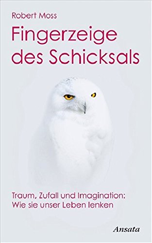 Fingerzeige des Schicksals: Traum, Zufall und Imagination: Wie sie unser Leben lenken