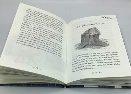 Eulenzauber (6). Hilfe für das kleine Fohlen