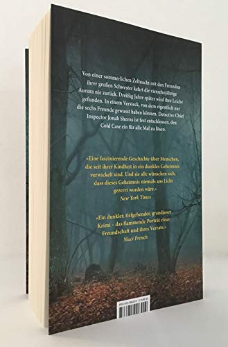 Bis ihr sie findet: Sechs Freunde. Ein Mörder. Wem vertraust du?. Roman (Detective Chief Inspector Sheens ermittelt, Band 1)