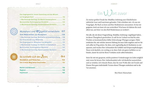 Buddhas Anleitung zum Glücklichsein - Das Übungsbuch