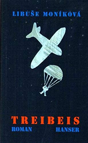 Treibeis: Roman