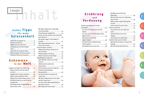 Schreien stärkt die Lungen und 99 andere Elternirrtümer - aufgeklärt vom Kinderarzt