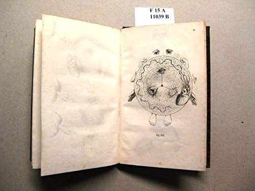 Der Mensch im Symbole. Ein Spiegel für Jeden, dem daran liegt, Mensch zu seyn.