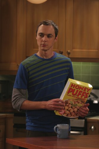 The Big Bang Theory - Die komplette erste Staffel [3 DVDs]