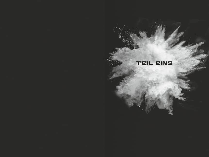 Camp Honor, Band 2: Der Auftrag (Camp Honor, 2)