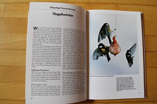 Singvögel kennenlernen, erleben, schützen