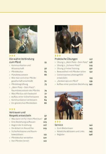 Was Pferde wirklich brauchen