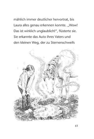 Sternenschweif, 3, Der steinerne Spiegel