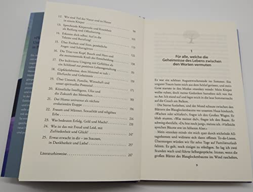 Gespräche mit einem Baum: Ein weiser Freund und die großen Geheimnisse des Lebens