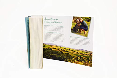 Belmonte (Die Belmonte-Reihe 1): Eine deutsch-italienische Familiensaga