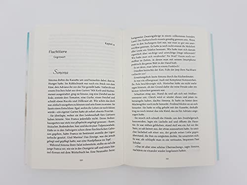 Belmonte (Die Belmonte-Reihe 1): Eine deutsch-italienische Familiensaga