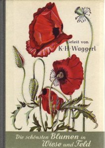 Die schönsten Blumen in Wiese und Feld.