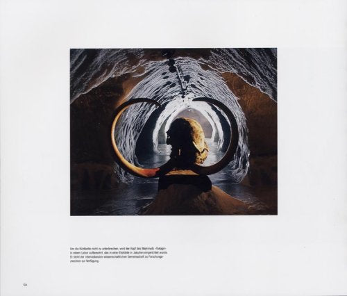 Die Arktis: Das weiße Paradies