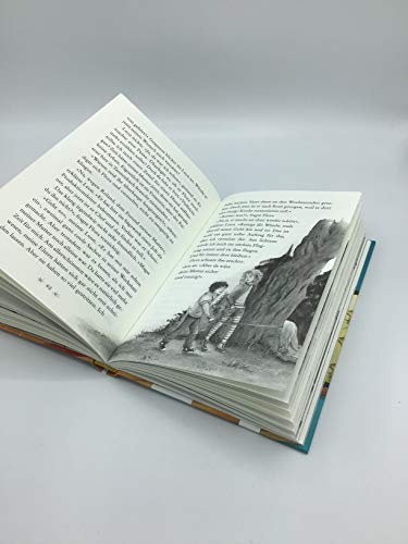 Eulenzauber (9). Der große Herzenswunsch