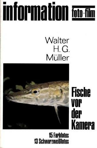 Information Foto und Film - Fische vor der Kamera