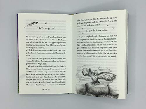 Eulenzauber (1). Ein goldenes Geheimnis