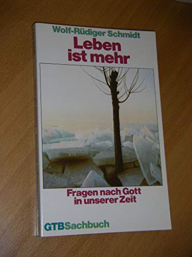 Leben ist mehr. Fragen nach Gott in unserer Zeit.