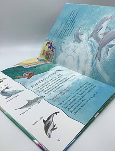 Der kleine Delfin und seine Freunde im Meer: Sachbilderbuch über Umwelt, Natur und Tiere mit Hörspiel für Kindergarten und Grundschule: Eine Geschichte mit vielen Sachinformationen