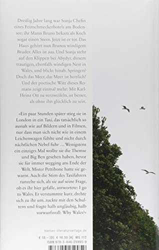 Und jeden Morgen das Meer: Roman