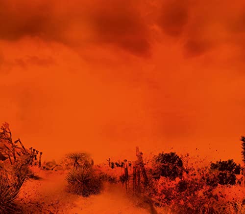 No Mercy - Diese Fahrt überlebst du nicht: Thriller