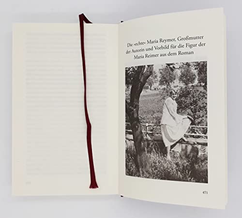 Das Mädchen aus der Severinstraße: Roman