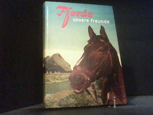 Pferde, unsere Freunde