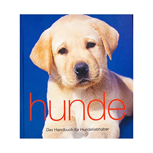 Katzen - Das Handbuch für Katzenliebhaber