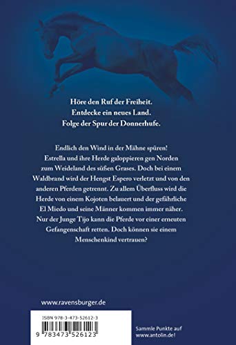 Die Spur der Donnerhufe, Band 2: Sternenfeuer (Die Spur der Donnerhufe, 2)
