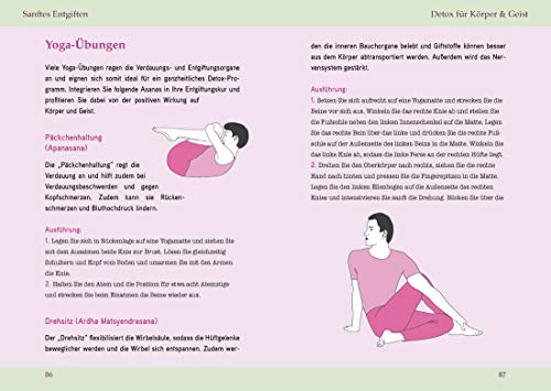 Entgiftung – Darm & Leber natürlich stärken: stärken