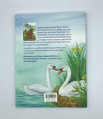 So lebt der kleine Biber und andere Tierkinder-Abenteuer: Drei Geschichten mit vielen Sachinformationen