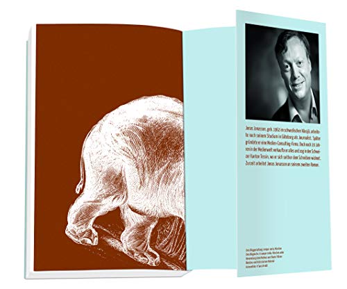 Der Hundertjährige, der aus dem Fenster stieg und verschwand: Roman