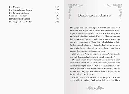 Die Spur der Donnerhufe, Band 2: Sternenfeuer (Die Spur der Donnerhufe, 2)