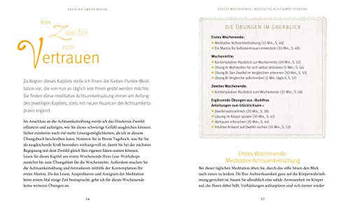 Buddhas Anleitung zum Glücklichsein - Das Übungsbuch