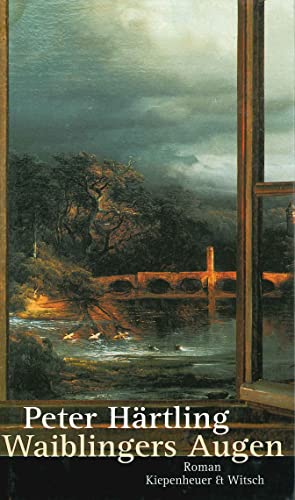 Waiblingers Augen: Roman