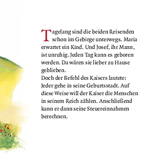 Jesus wird geboren. Mini-Bilderbuch.: Don Bosco Minis: Kinderbibelgeschichten.