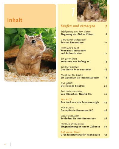 Rennmäuse: halten & pflegen, verstehen & beschäftigen