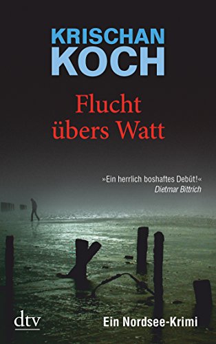 Flucht übers Watt: Ein Nordsee-Krimi (Harry Oldenburg, Band 1)