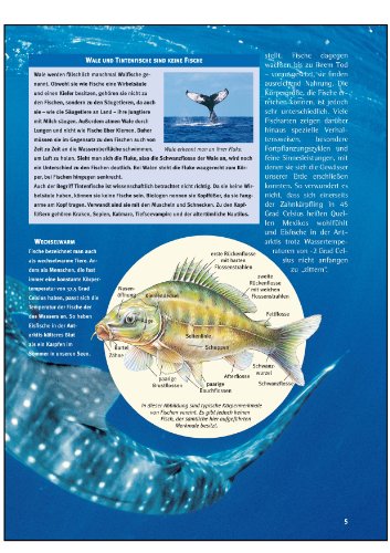 Was ist was, Band 041: Fische