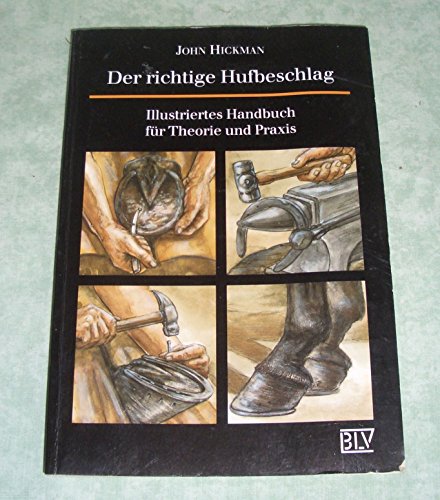 Der richtige Hufbeschlag