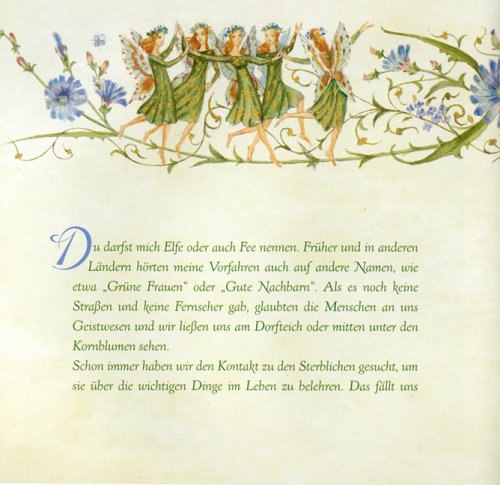 Das kleine Buch der Feen und Elfen