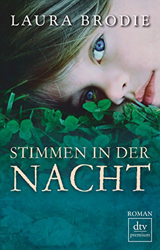 Stimmen in der Nacht: Roman