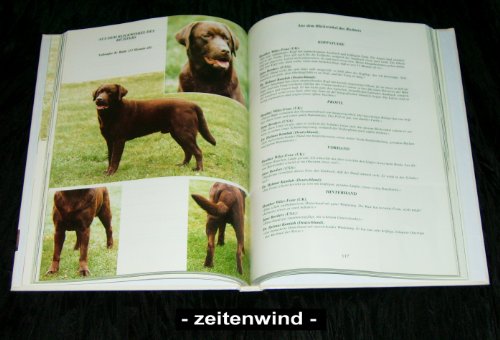 Das grosse Labrador Retriever Buch