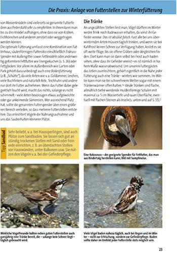 Vögel füttern - aber richtig: Anlocken, schützen, sicher bestimmen