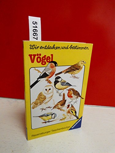 Vögel
