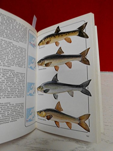 Der Kosmosfischführer