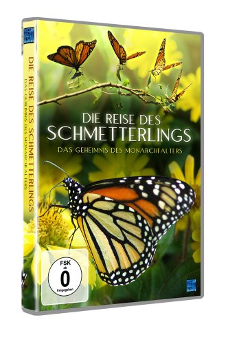 Die Reise des Schmetterlings - Das Geheimnis des Monarchfalters