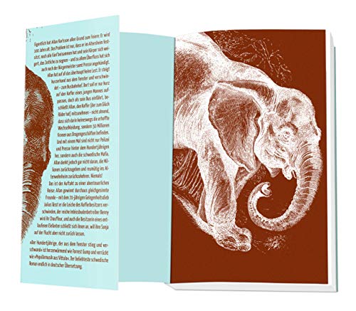 Der Hundertjährige, der aus dem Fenster stieg und verschwand: Roman